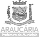 araucária-removebg-preview